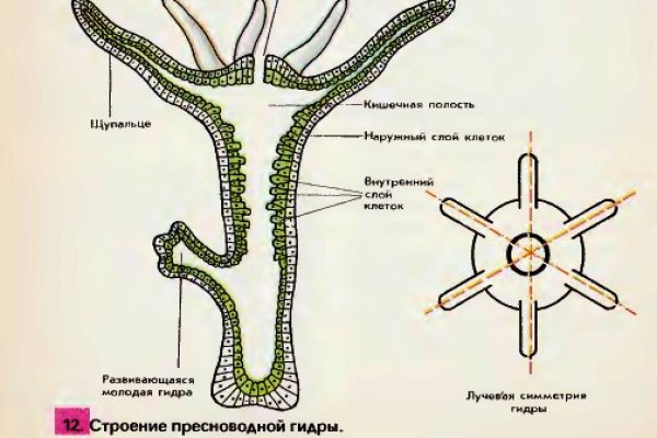 Ссылки кракен 2024